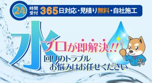 鹿児島水道救急